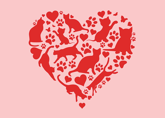 Playful Cats in Heart Shape Cat Lover Valentine's Day Kitten Valentine