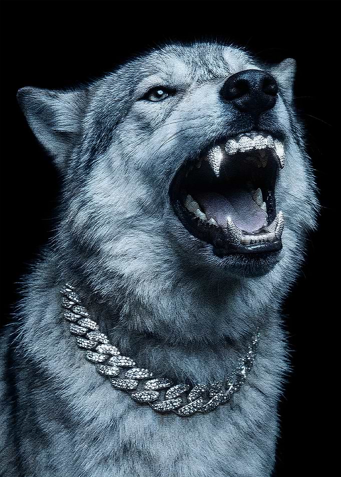 Wolf with Diamond Chain
