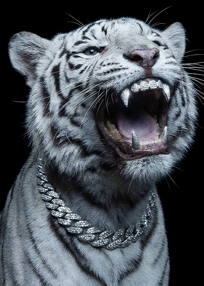 White Tiger with Diamond Grill and Chain
