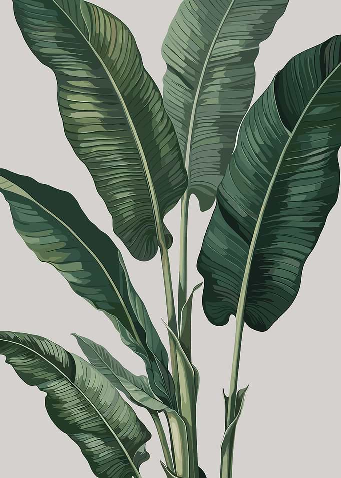 Tropical Banana Leaves
