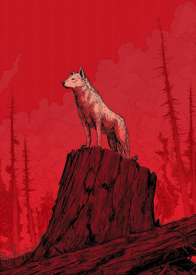 Wolf on a stump in red forest