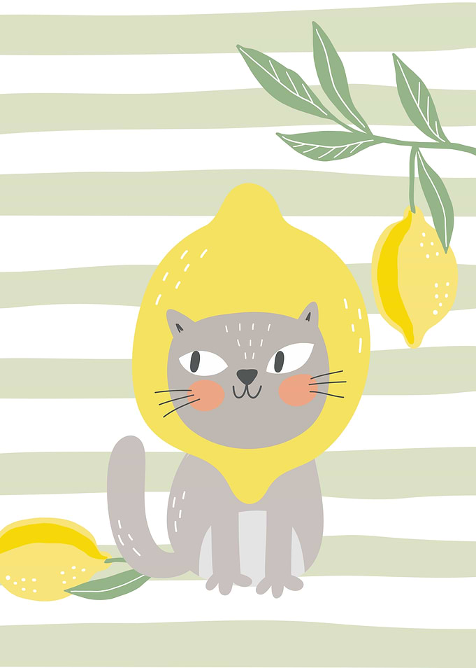 Cute Cat with Lemon Hat