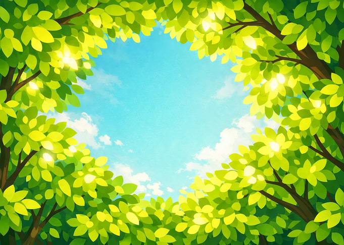 Lush Green Canopy Against Blue Sky