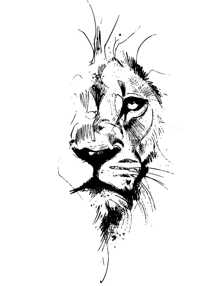 Lion Head Sketch