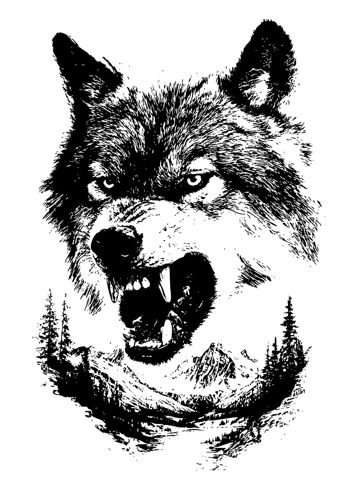 Aggressive Wolf in Mountain Landscape