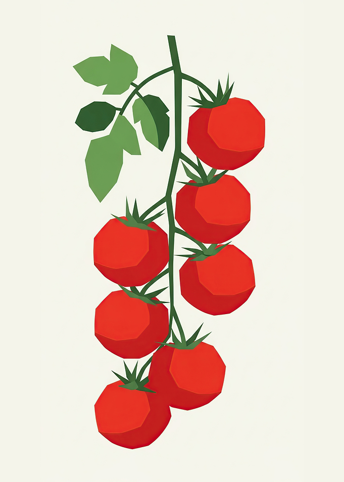 Vine of Ripe Tomatoes