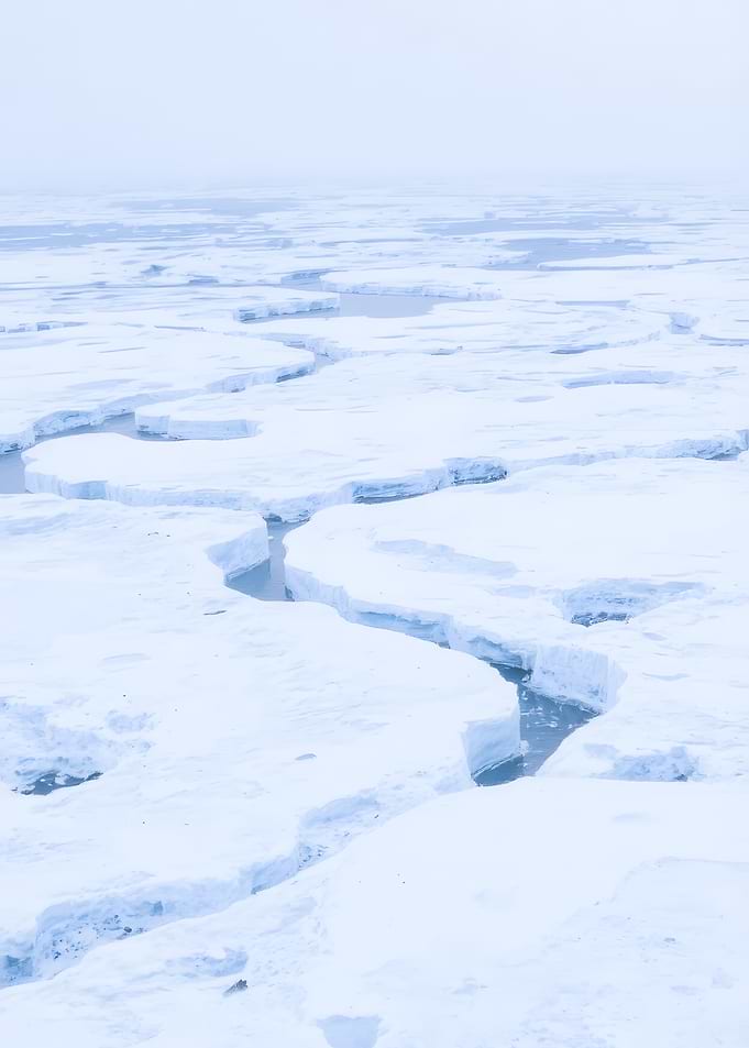 Cracked Ice Floes in Fog