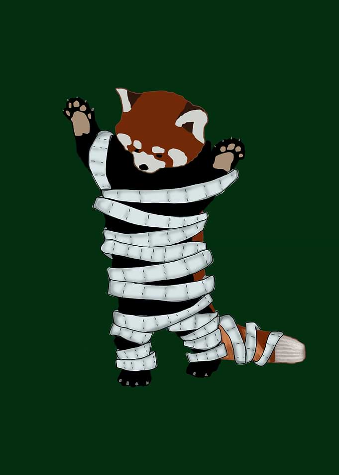 Panda Mummy
