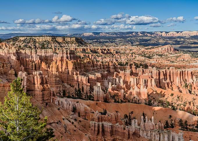 Bryce Canyon National Park Landscape