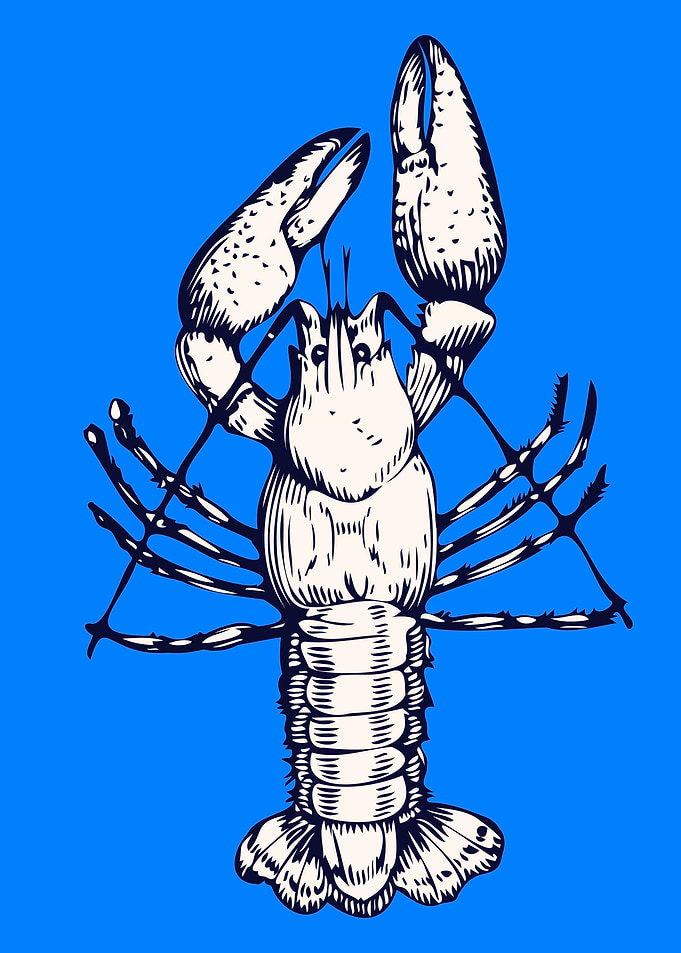Lobster Illustration on Blue Background