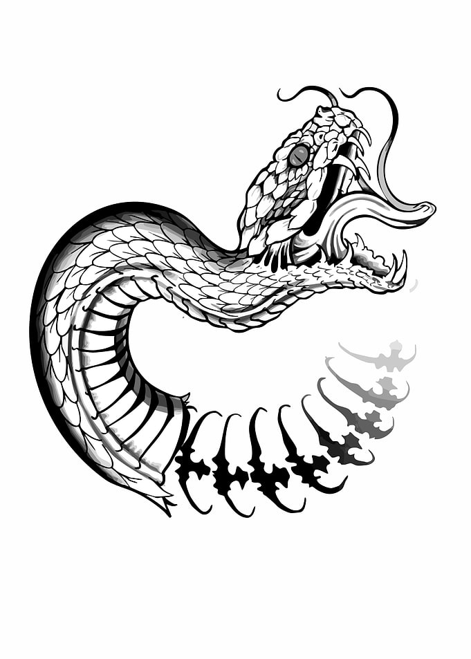 Aggressive Snake Tattoo Design