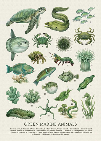 Green Marine Animals Illustration