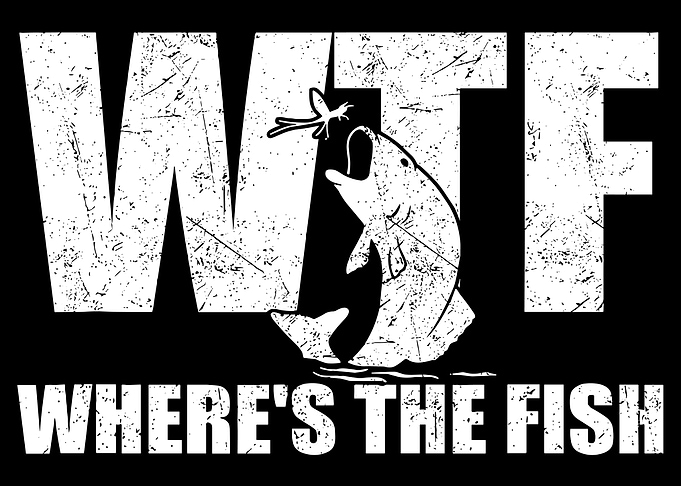 WTF Where’s The Fish Poster, Funny Fishing Art Print, Jumping Fish Wall Decor