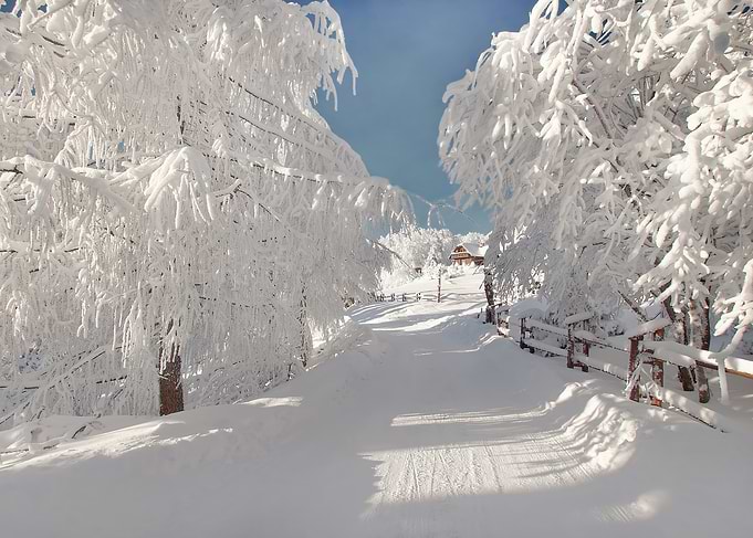 Snowy path to a cabin