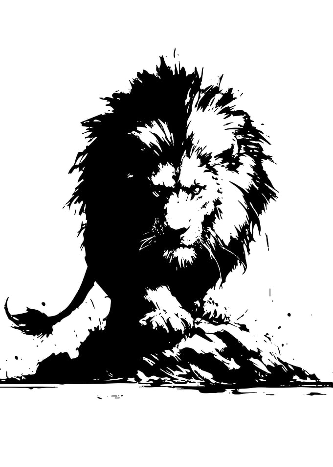 Black and White Lion Illustration