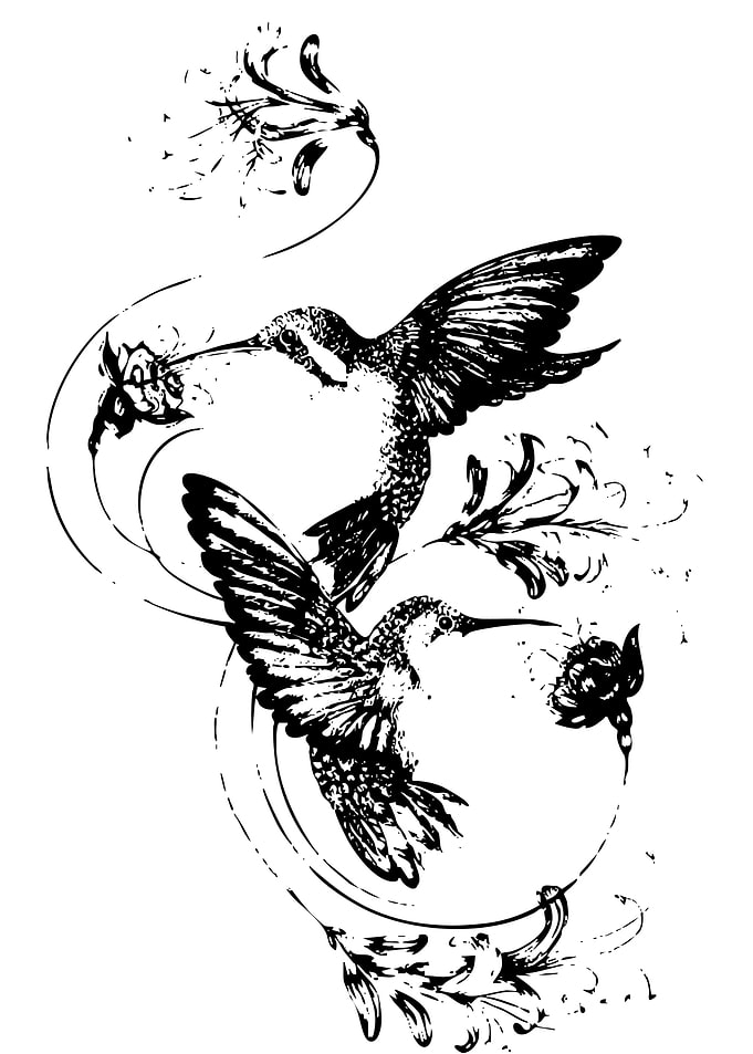 Two Hummingbirds and Flowers