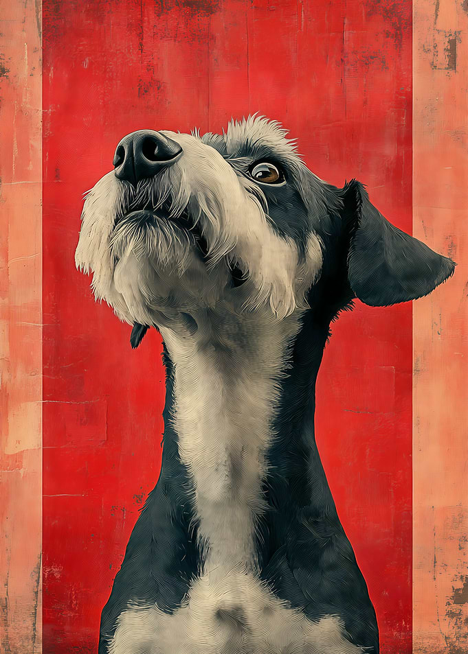 Dog looking up with textured background