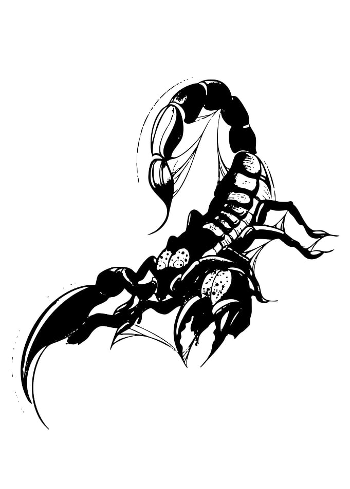 Black Scorpion Tattoo Design