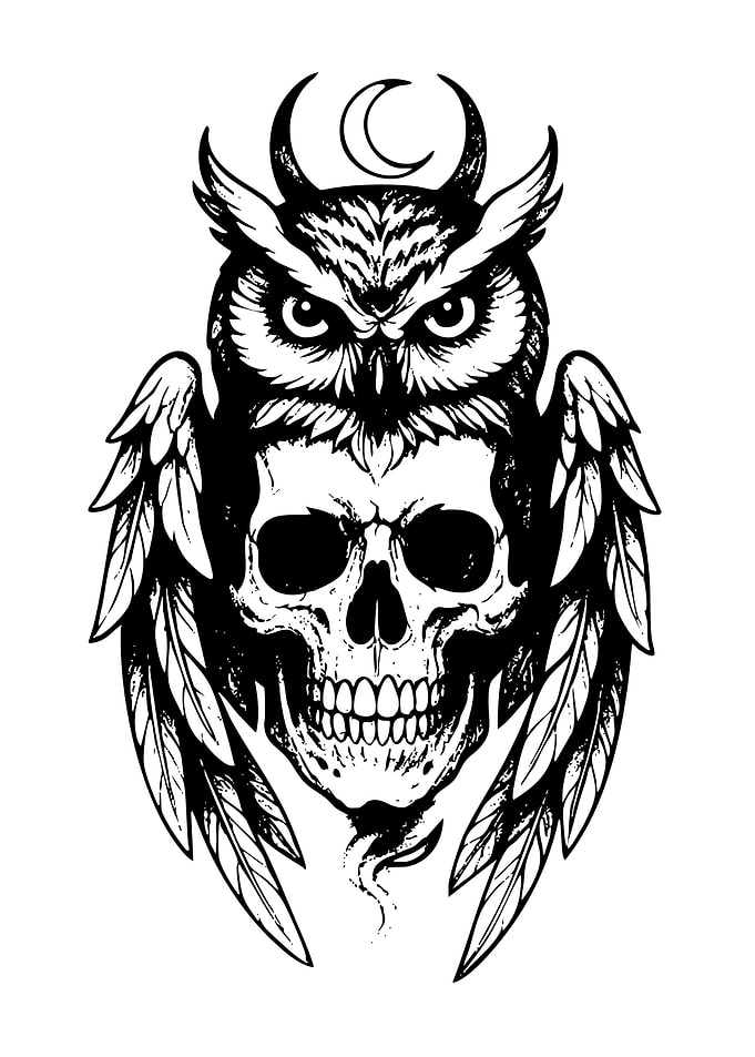 Owl and Skull Tattoo Design