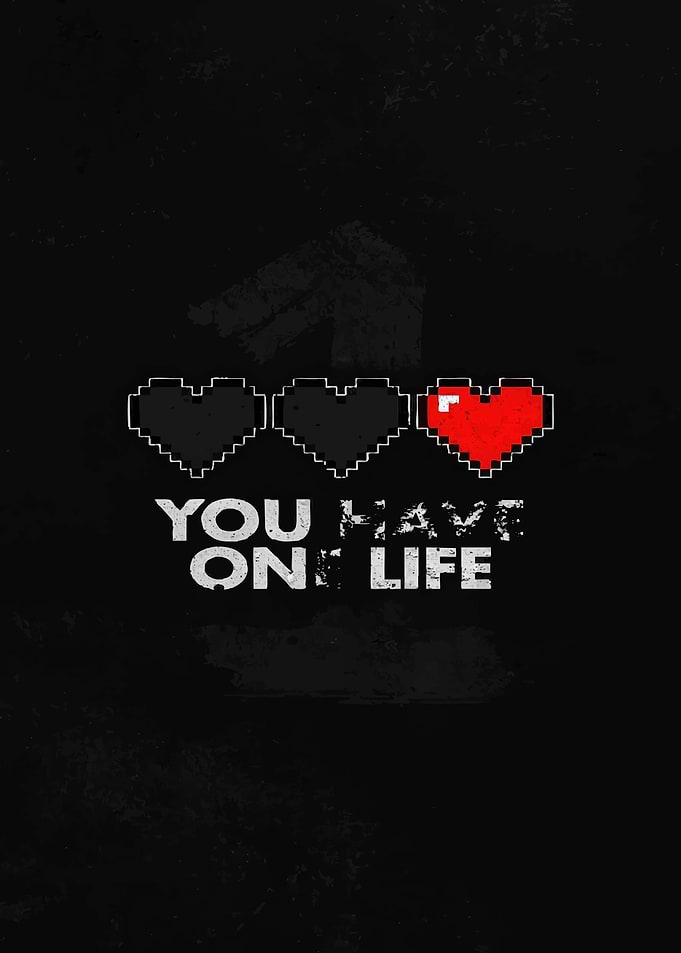 You Have One Life Pixel Art