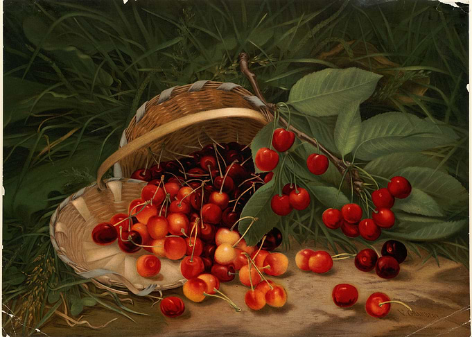 Cherries in a Basket