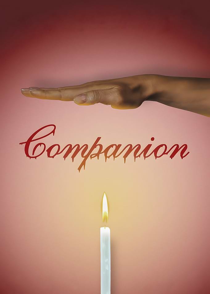 Companion Movie Poster