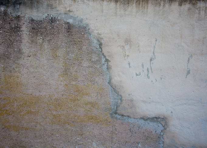Textured Concrete Wall Surface