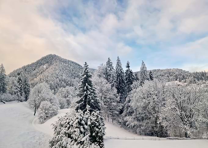 Snow-covered mountain landscape with trees