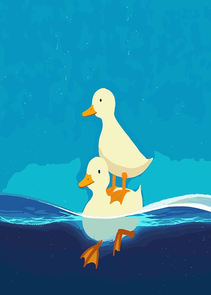 Two ducks on water