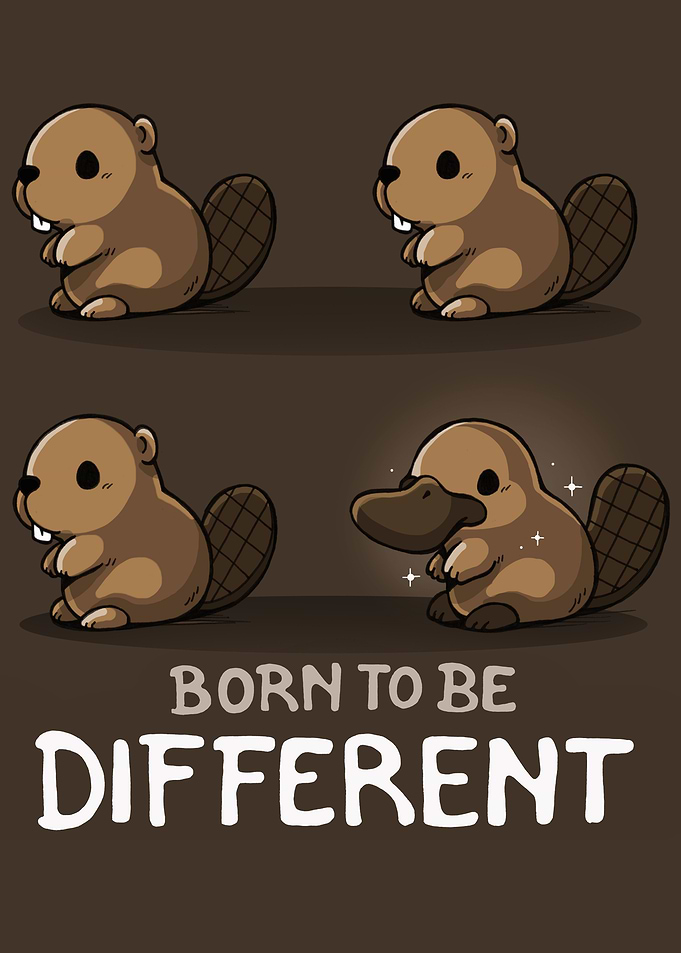Born to be Different Platypus Beaver