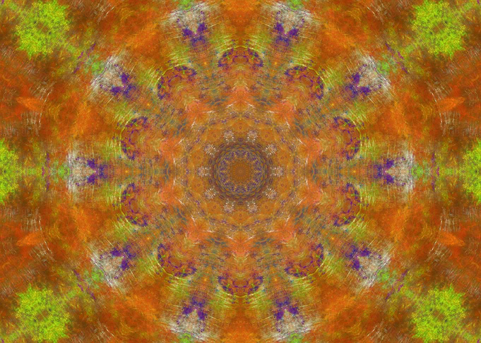 Orange Dream