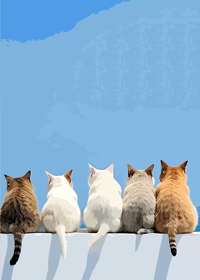 Five Cats Sitting on a Ledge