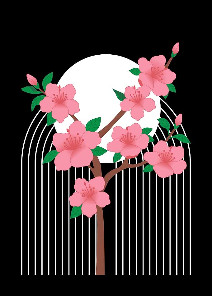 Pink Cherry Blossoms with Arch Background