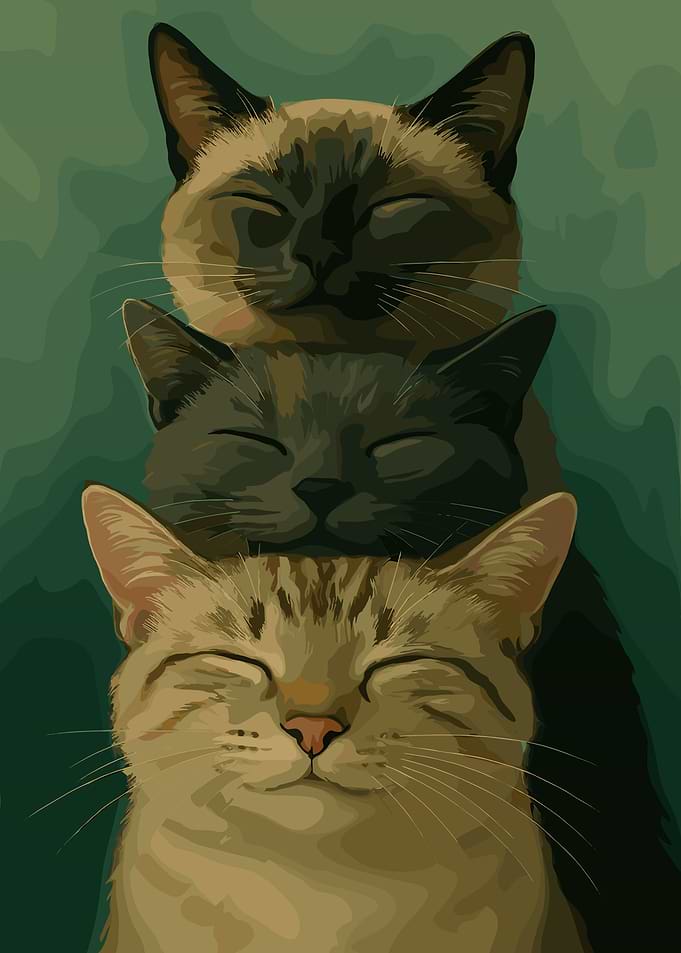 Two Cute Cats