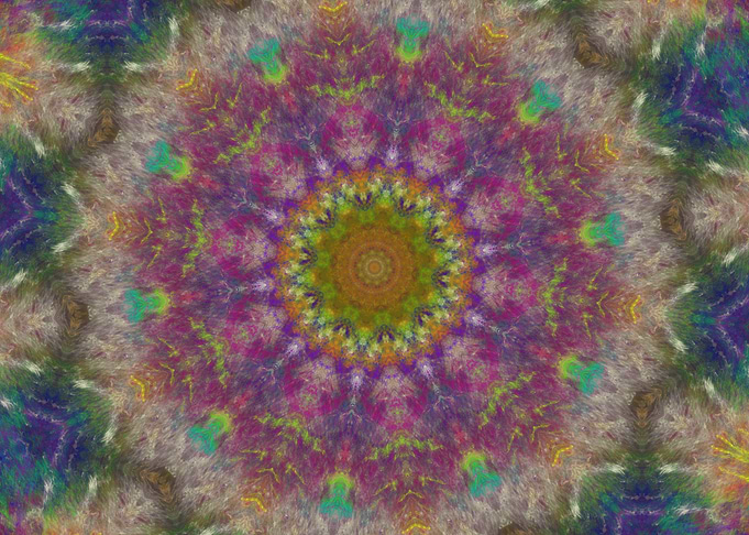 Psychedelic Petals