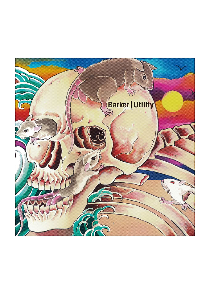 Skull with Sunset