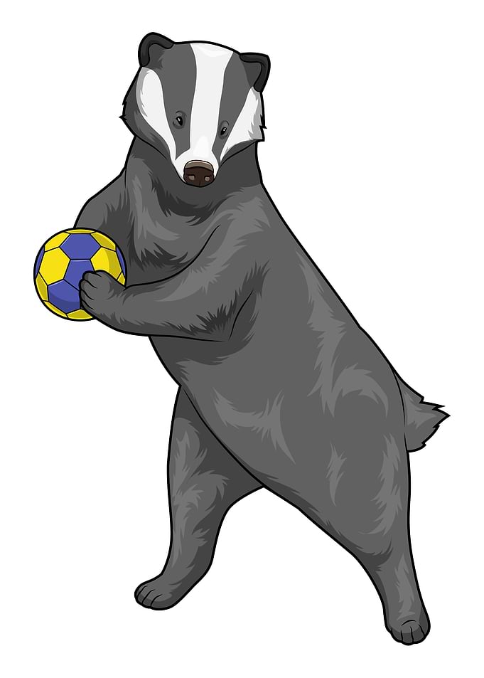 Badger Handball player Handball