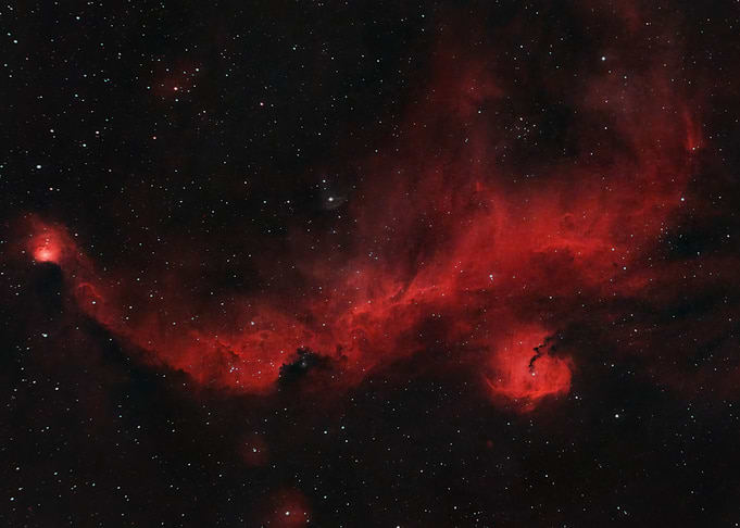 Seagull Nebula