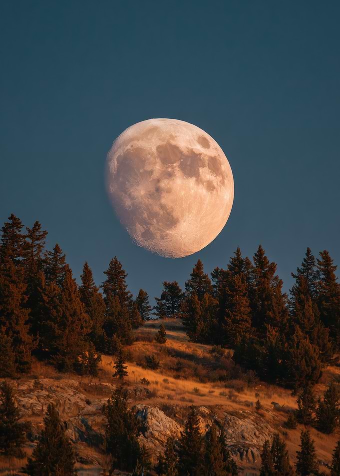 Full Moon Over Forested Hillside