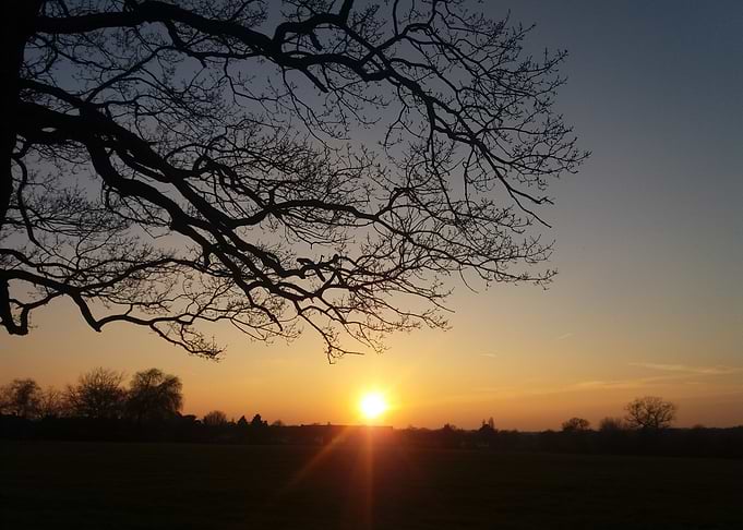 Sunset over a field