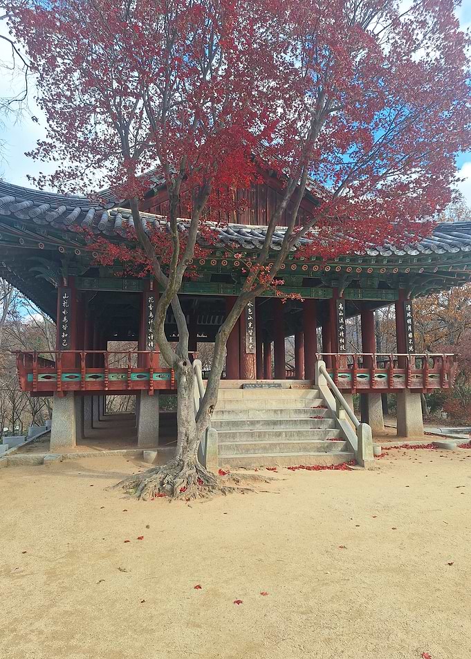 Autumn Pagoda with Red Maple Tree
