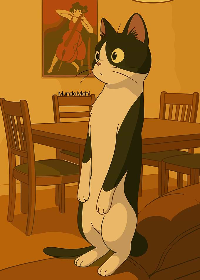 Tuxedo Cat Standing in a Room