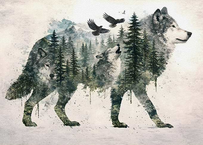 Double Exposure Wolf and Forest