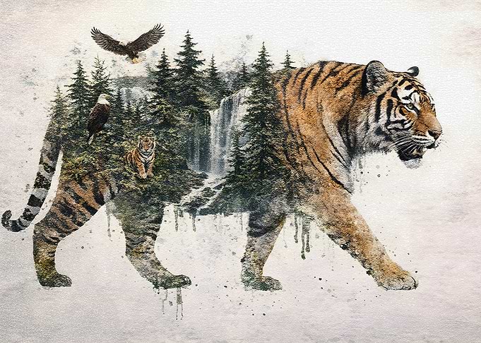 Tiger Forest Waterfall Double Exposure