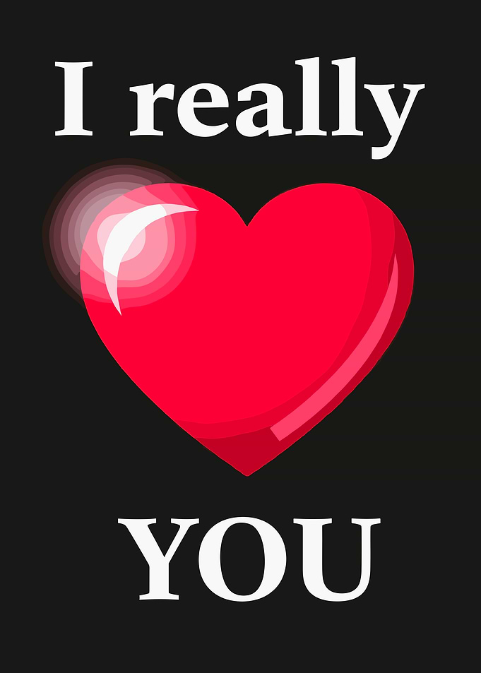 I Really Love You Heart