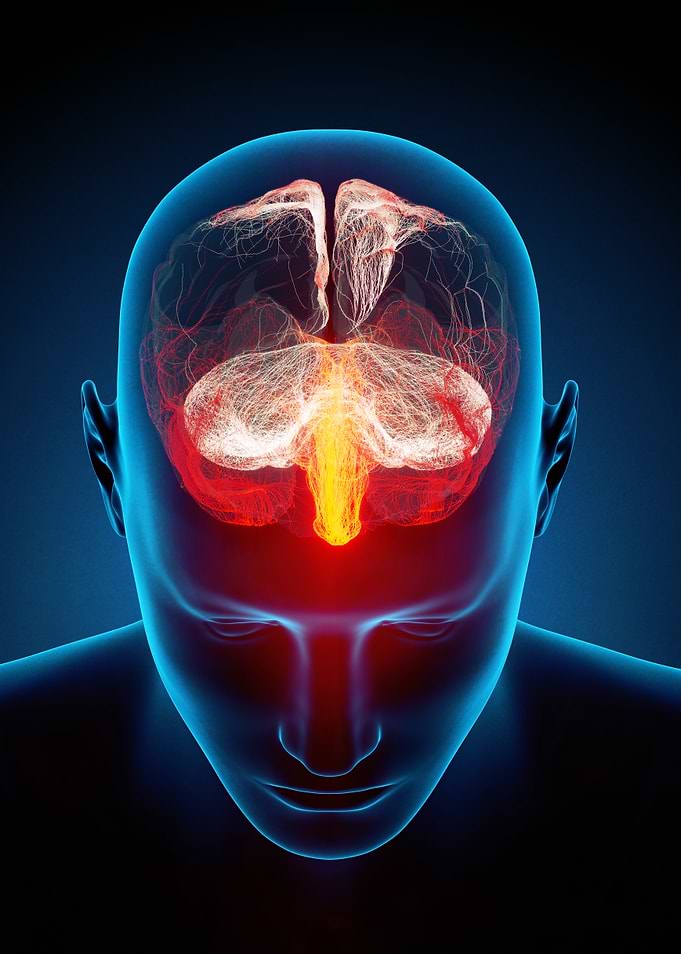 Human Brain with Glowing Neural Activity
