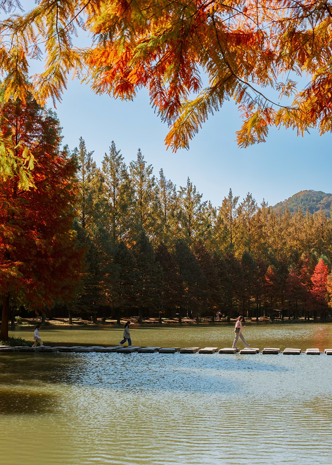 Autumn Lake in South Korea