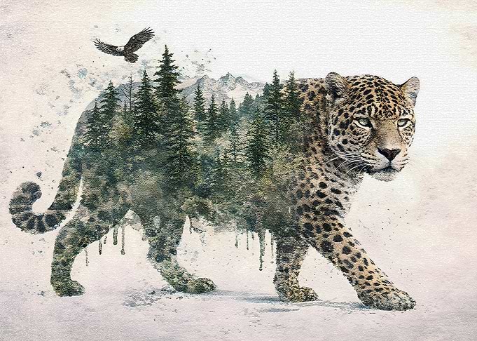 Leopard with Forest Landscape Overlay