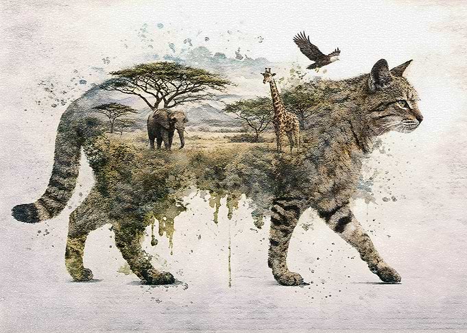 The Breath of Raw Nature