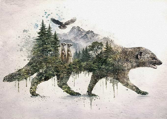 Essence of the Untamed